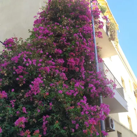 Apartman Lormar House